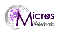 MicrosVet